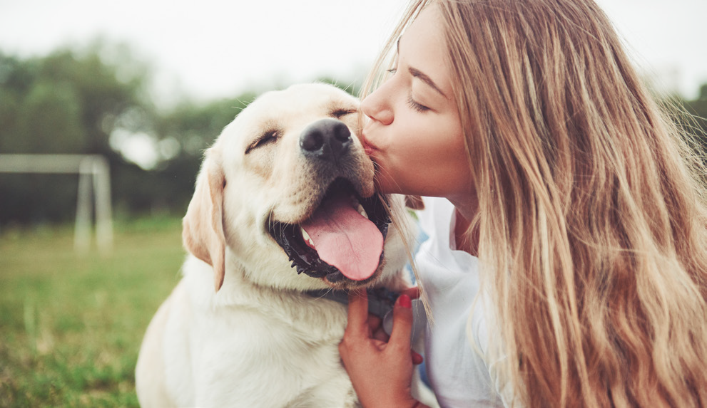 Woman kissing yellow lab.