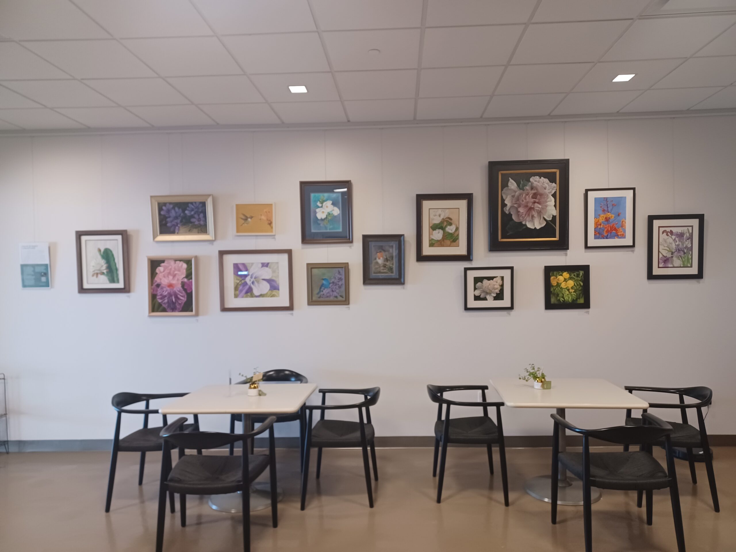 Art gallery with framed floral paintings on a white wall above two tables and chairs.