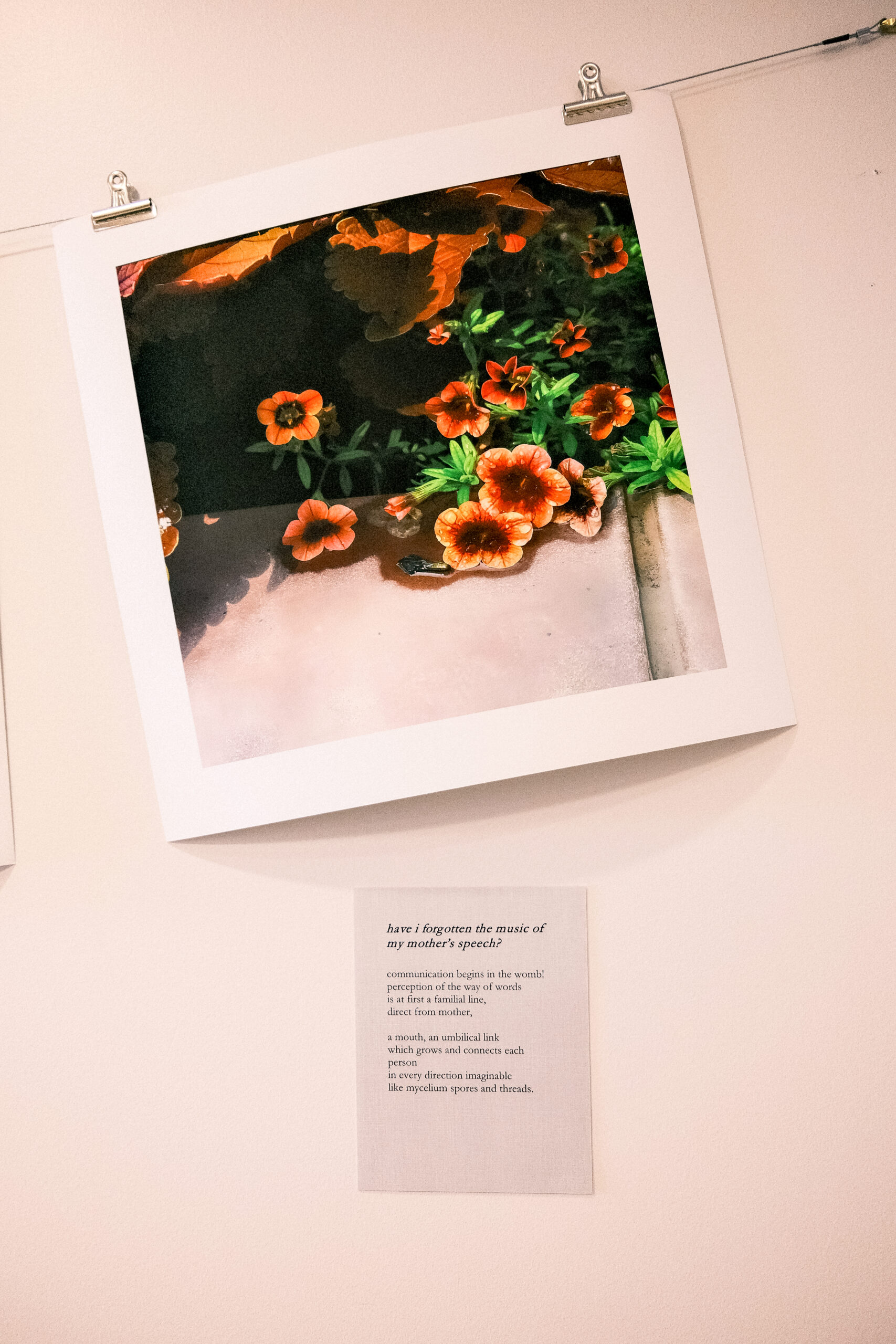 Photograph of vibrant orange flowers with accompanying poem: "have i forgotten the music of my mother’s speech?" exploring communication and connection.