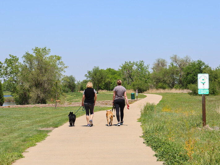 Two people walking dogs on a sunny park trail.