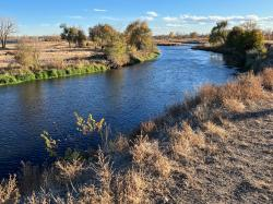 Riverside landscape with dry grass, autumn trees, and clear blue sky.