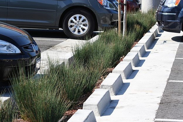 Cars parked in a lot with grassy median separating spaces.