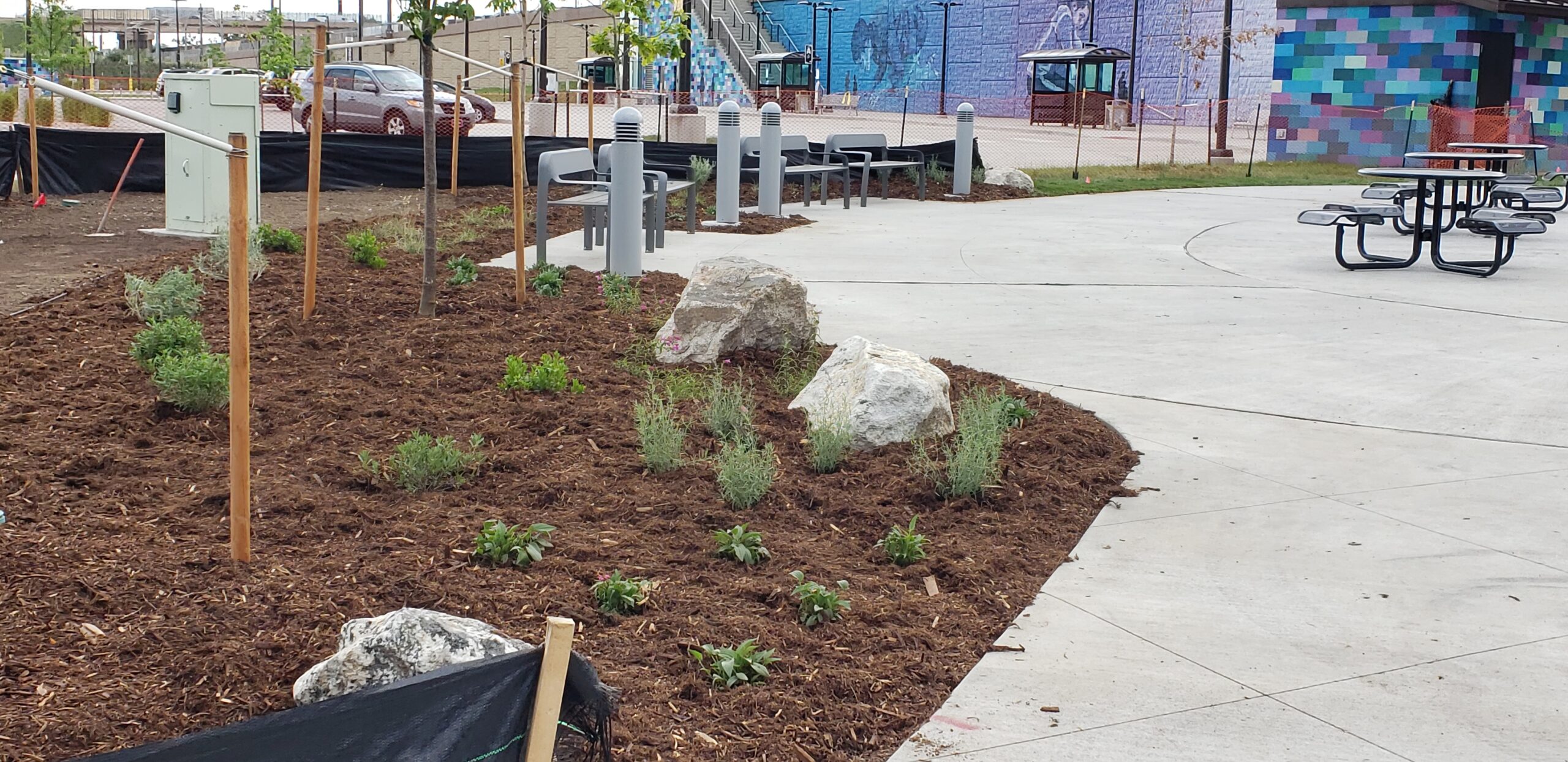 Landscaped area with young plants and boulders, surrounded by benches and concrete plaza. Multicolored mural wall visible.