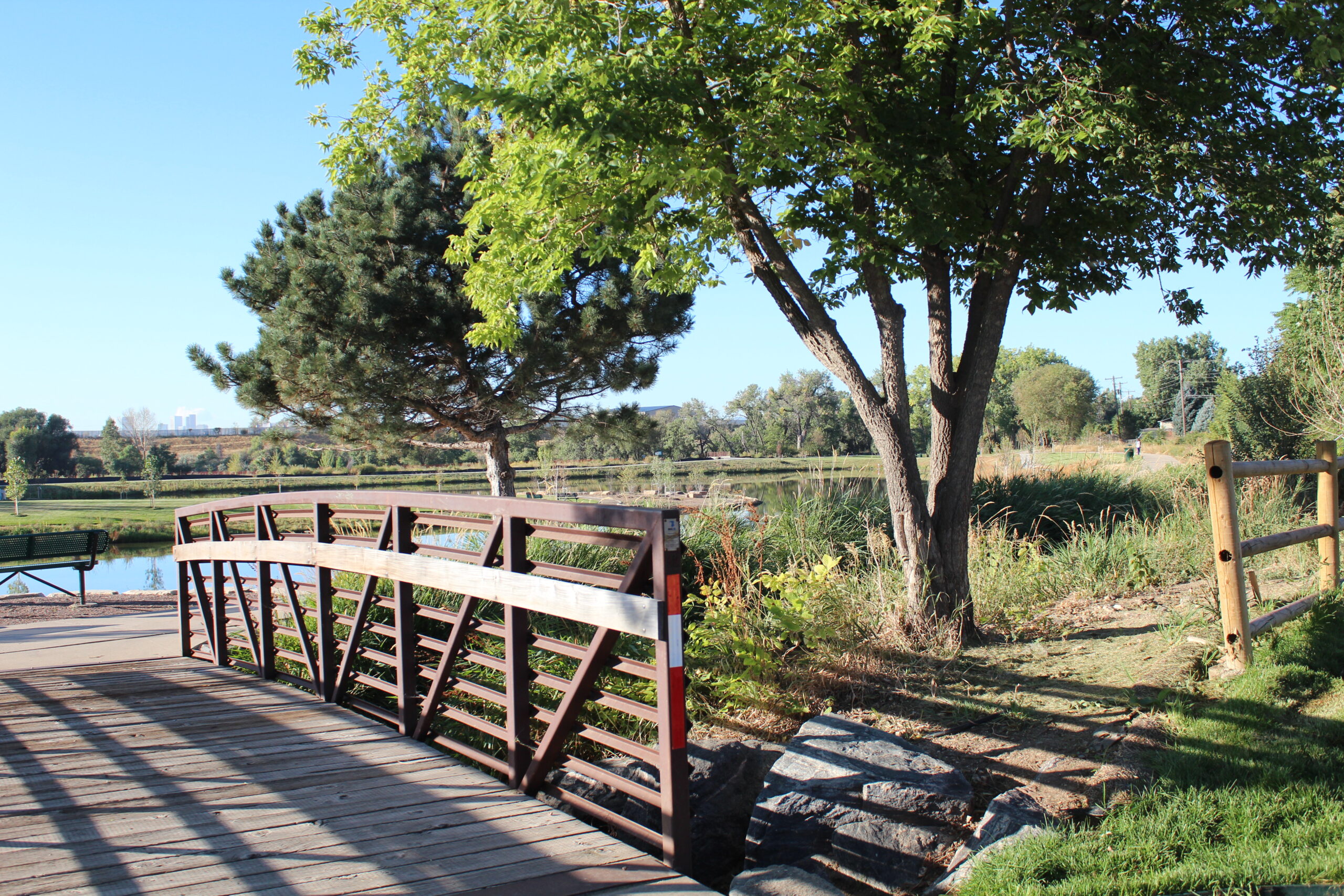 Wooden bridge and trees by a serene park pond