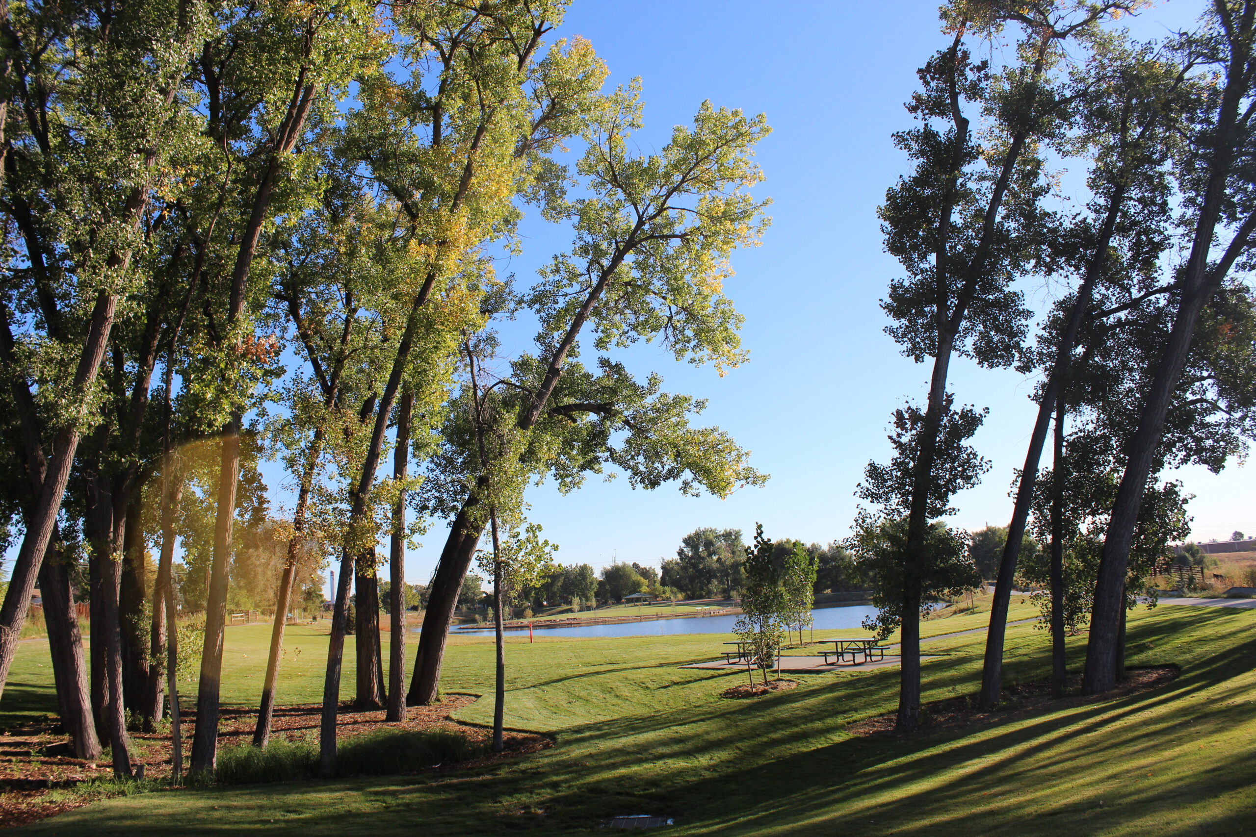 Park with tall trees, grassy area, and a distant lake under a clear blue sky