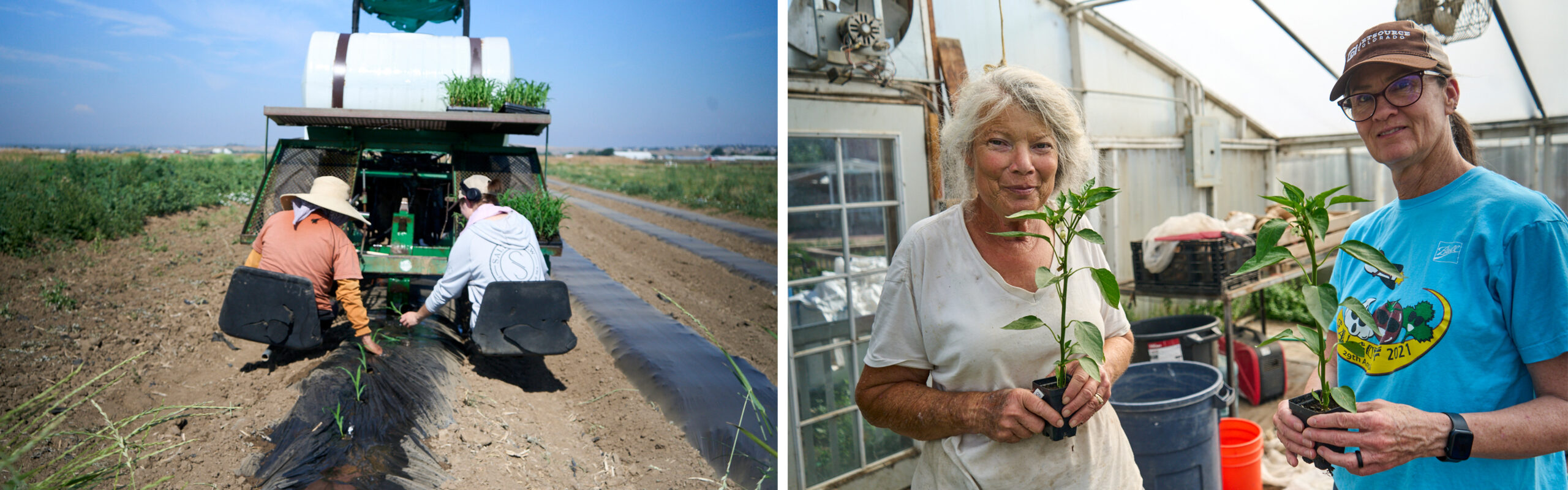 On the left, two people plant seedlings using a farm machine in a field. On the right, two women in a greenhouse hold potted plants, smiling.