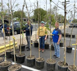 People standing among potted trees in a parking lot