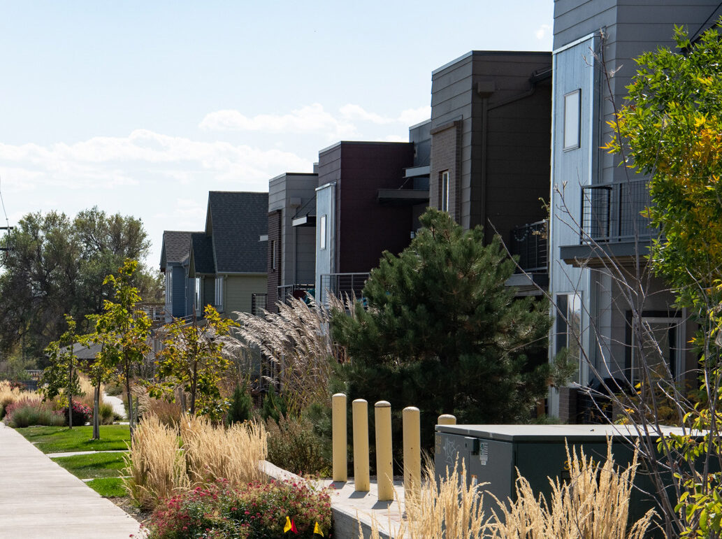 Modern townhouses line a sunny sidewalk with landscaped greenery and tall grasses.