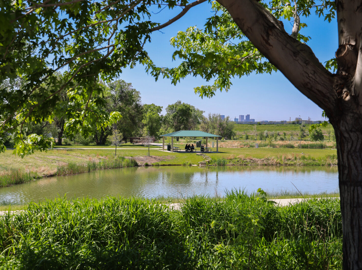 Lush park scenery with a gazebo near a pond, framed by trees.