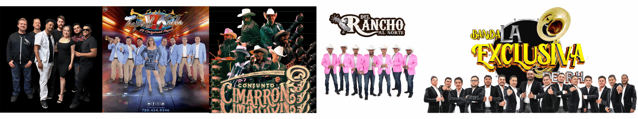 Group photo collage featuring various music bands in distinct styles and outfits