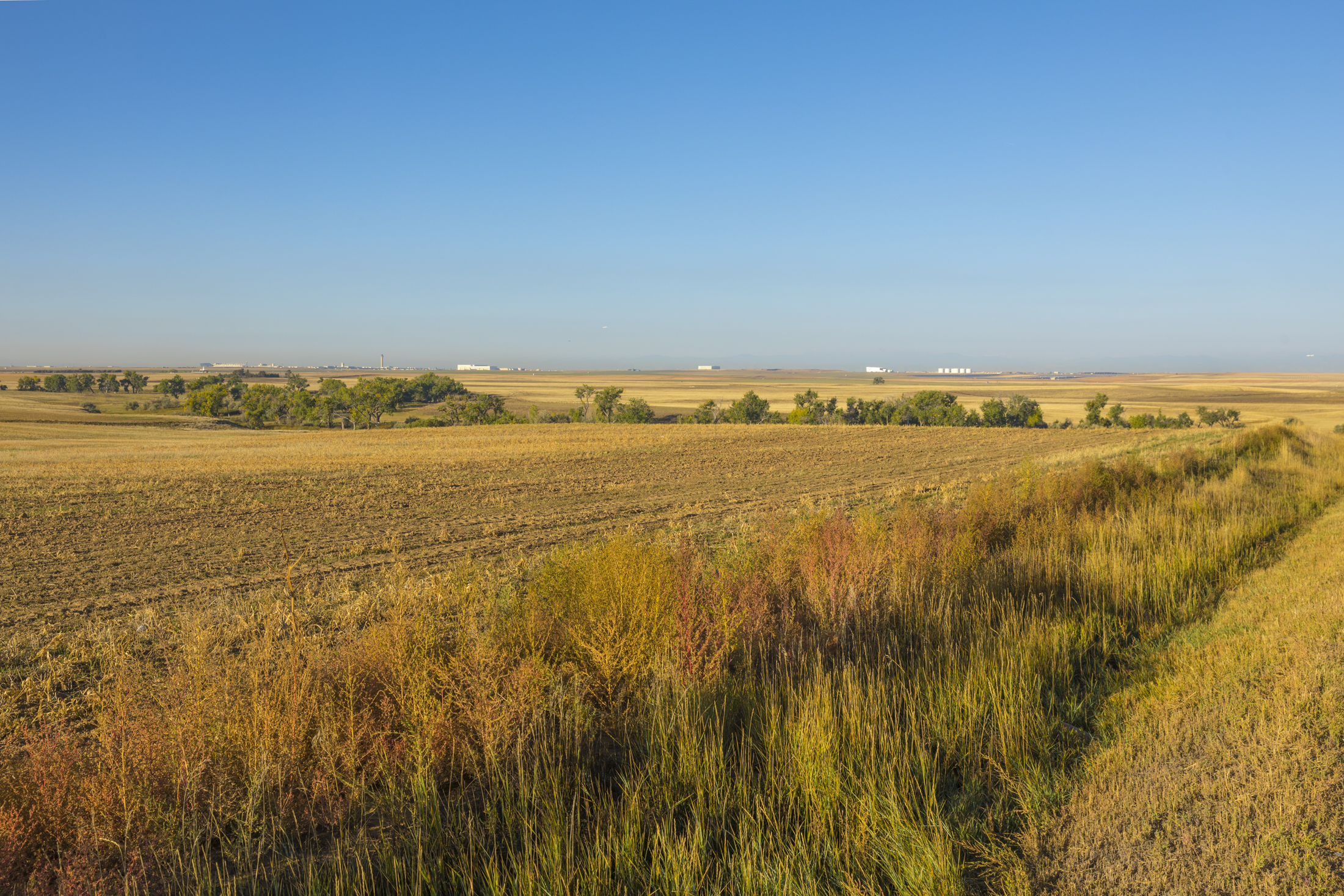 Box Elder Creek landscape with expansive fields under a clear blue sky.