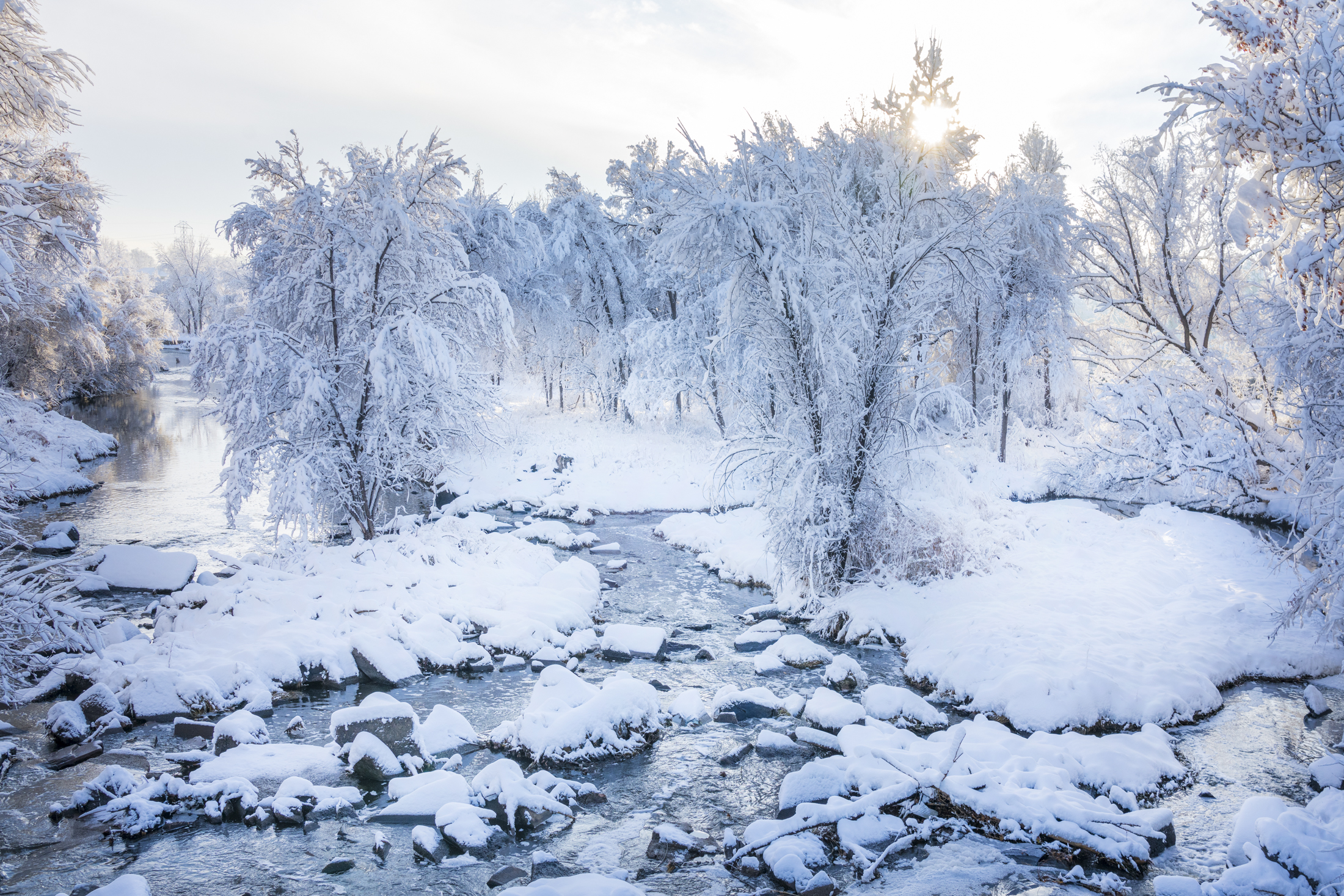 Snow-covered trees surround a flowing creek under a bright, overcast sky.