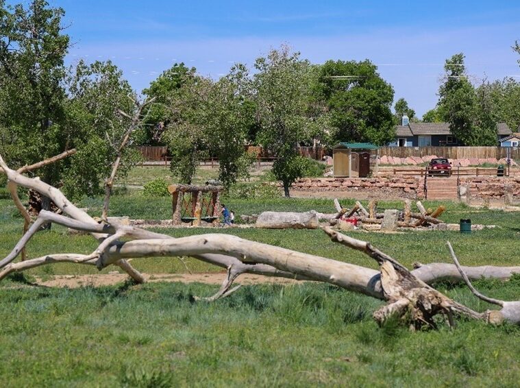 Grassy park with large fallen tree, play area, and distant houses.