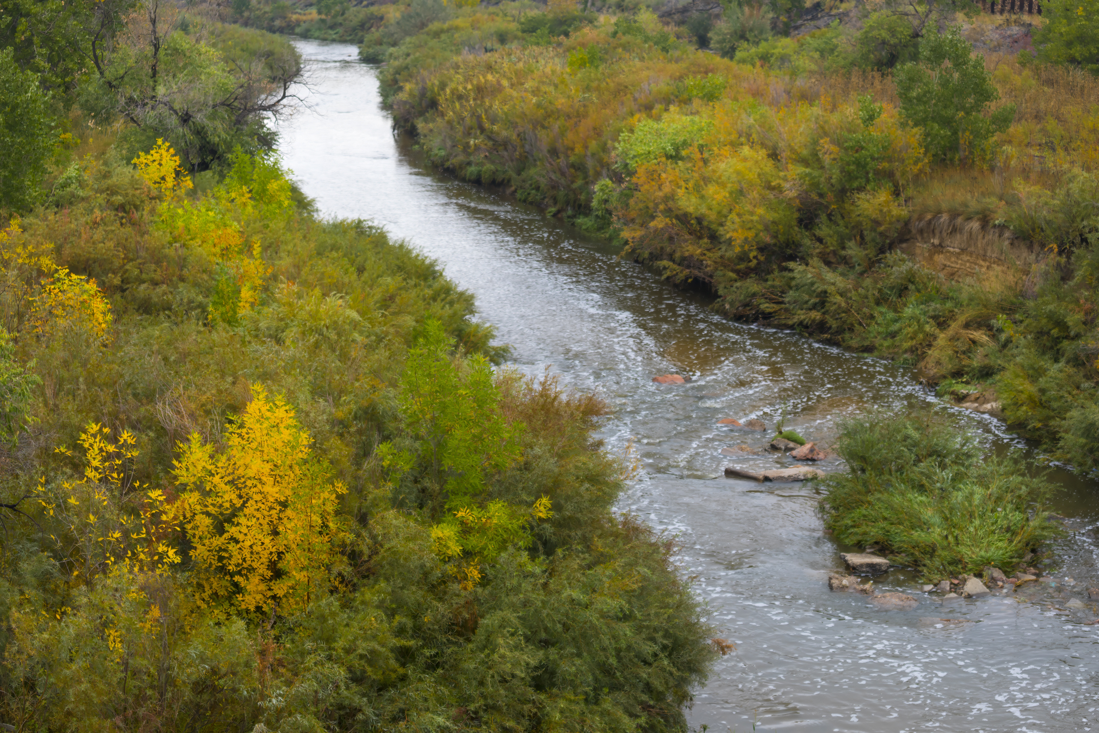 River winding through lush green and yellow autumn foliage, cloudy sky.