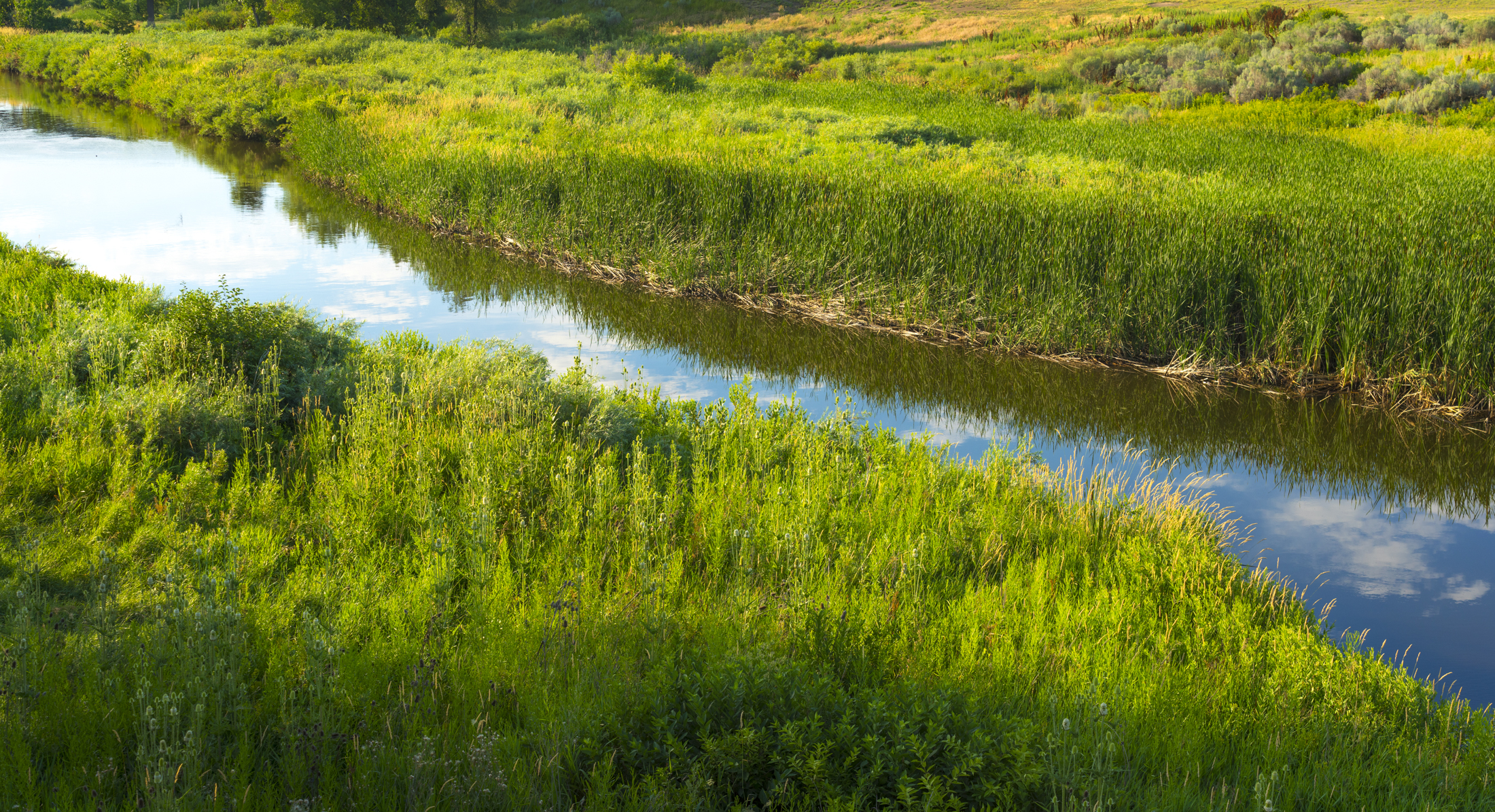 Lush, green riverside landscape reflecting blue sky and clouds
