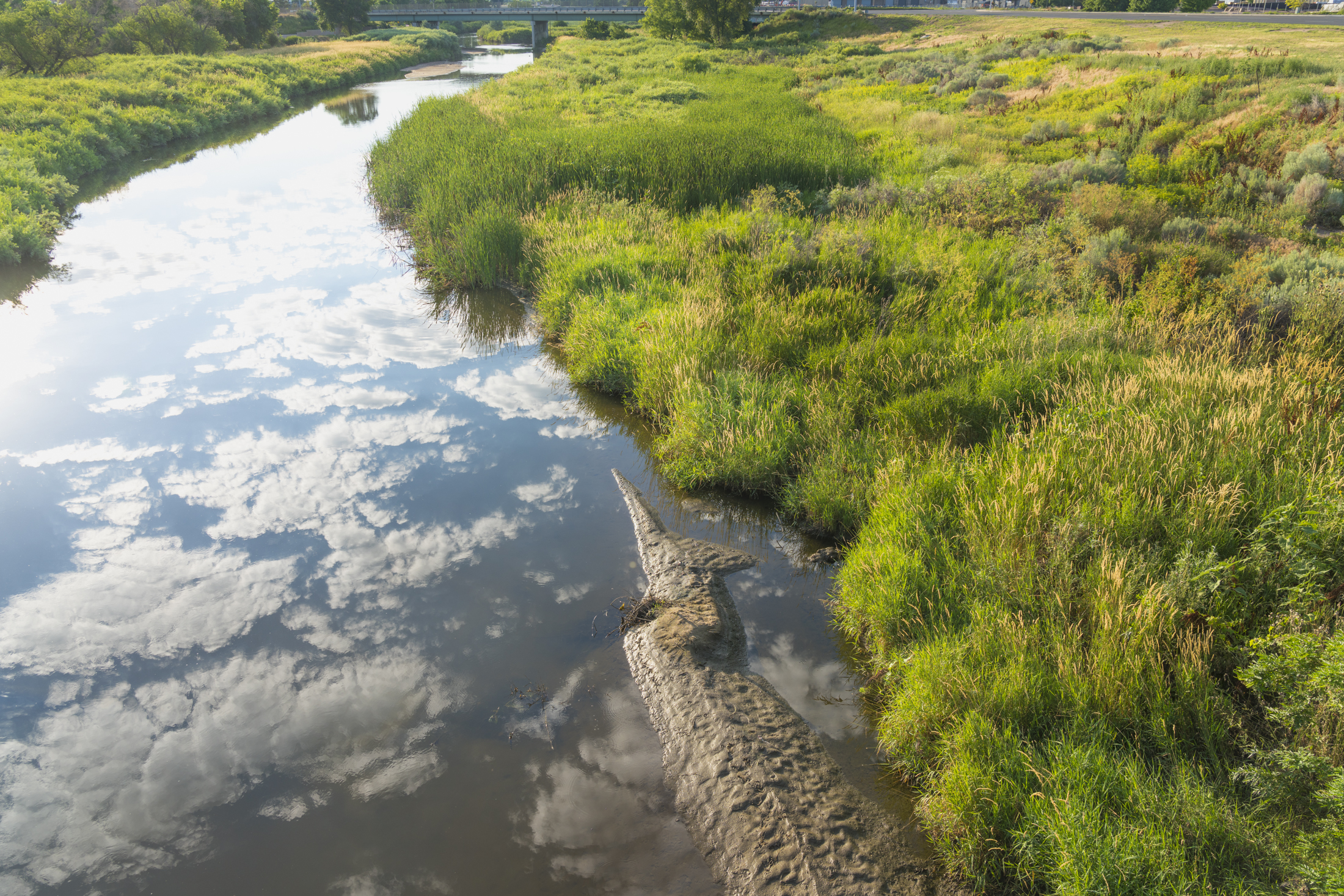 Reflection of clouds in a river bordered by lush green vegetation.