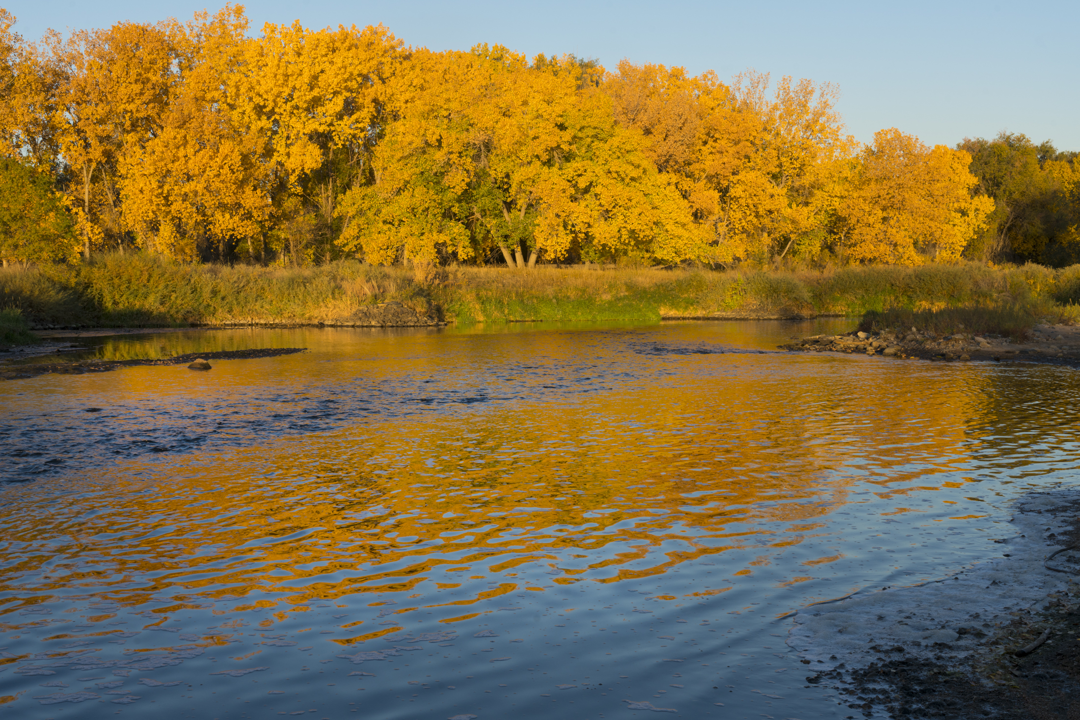 Autumn trees reflected in calm river at sunset
